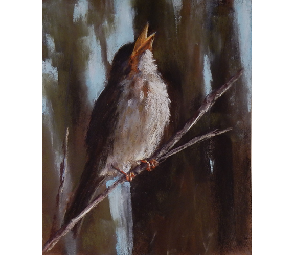 "Sparrow Song" by Deborah Henderson